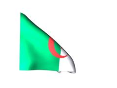 Algeria 240 animated flag gifs