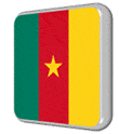 Cameroon flag icon animation