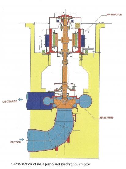 Pump motor cross section
