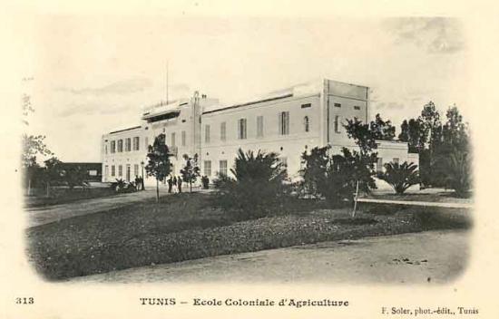 Ecole coloniale d agriculture de tunis 1